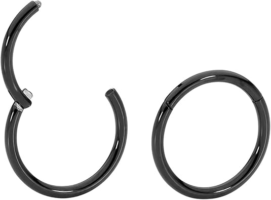 2. Titanium Hinged Sleeper Earrings