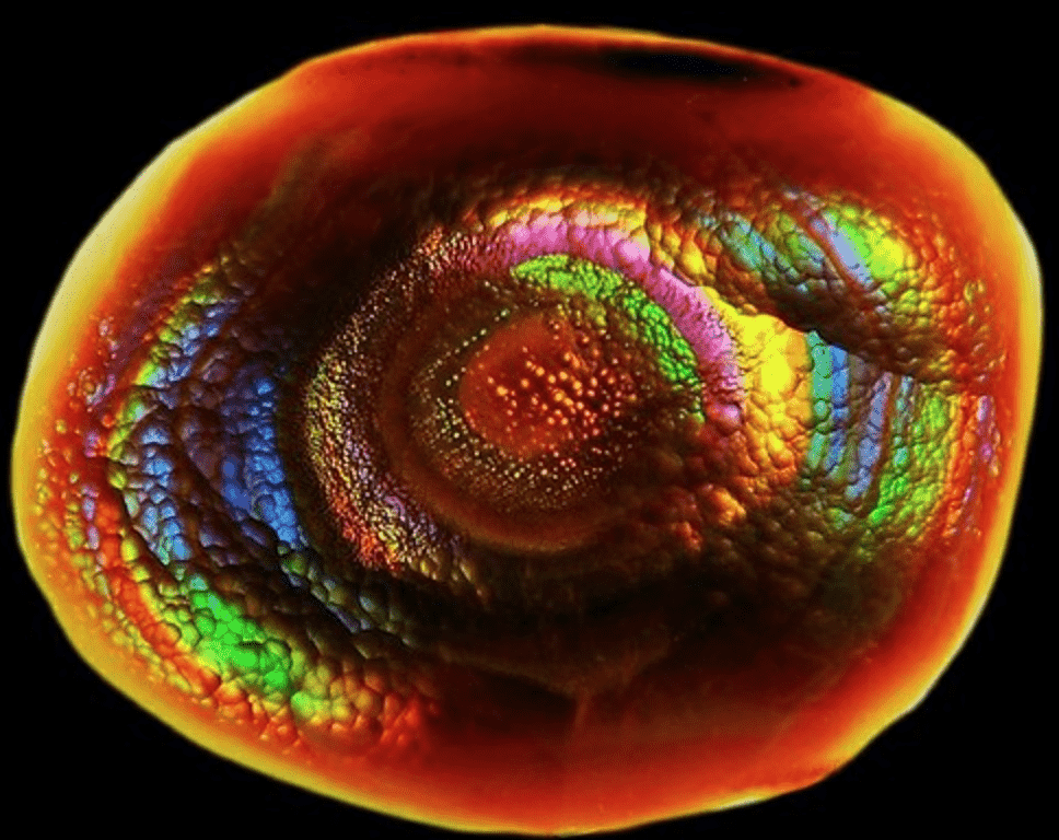fire agate